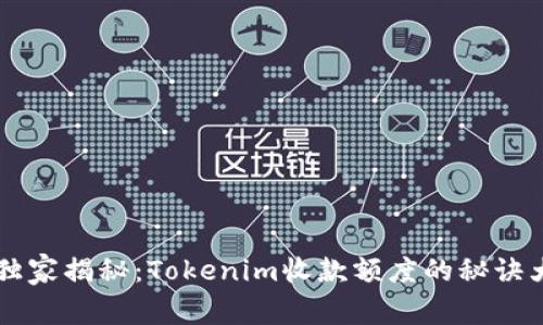 专家独家揭秘：Tokenim收款额度的秘诀大解析