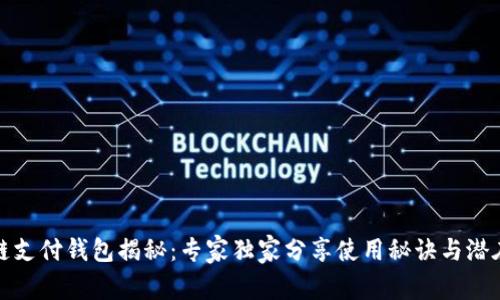 区块链支付钱包揭秘：专家独家分享使用秘诀与潜在风险