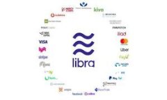 专家揭秘：独家解读数字