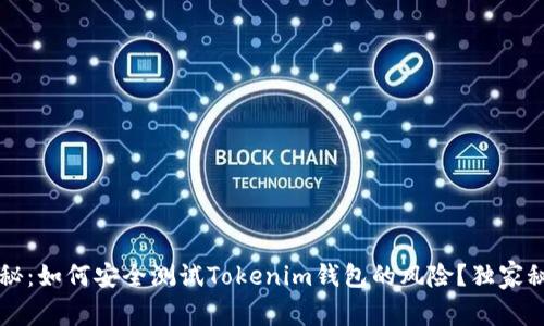 专家揭秘：如何安全测试Tokenim钱包的风险？独家秘诀分享
