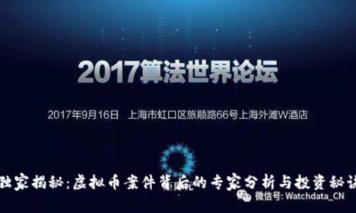 独家揭秘：虚拟币案件背后的专家分析与投资秘诀