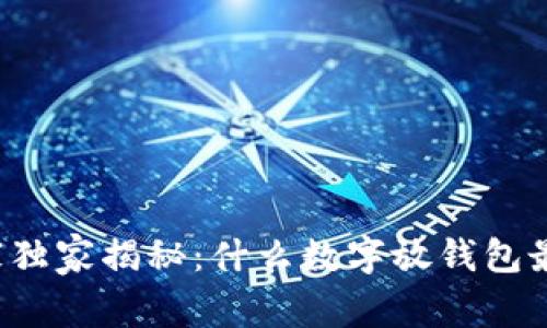 专家独家揭秘：什么数字放钱包最好？
