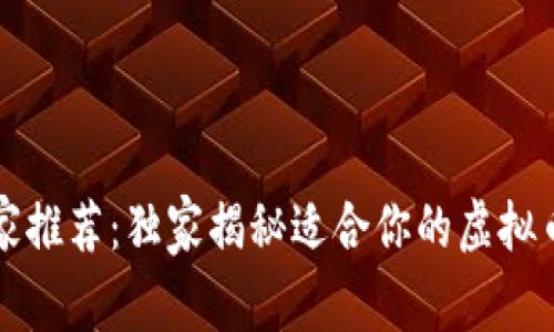 2023年专家推荐：独家揭秘适合你的虚拟币钱包秘诀！