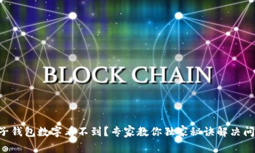 电子钱包数字看不到？专家教你独家秘诀解决问题！