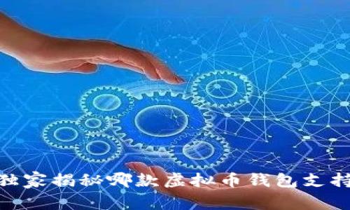 专家解读：独家揭秘哪款虚拟币钱包支持STP的秘诀