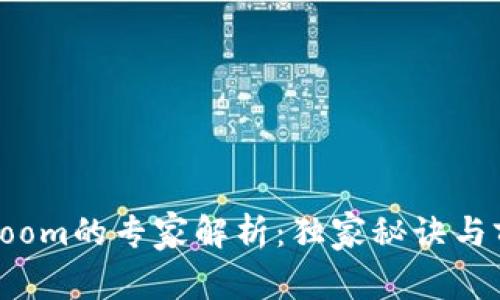 虚拟币Loom的专家解析：独家秘诀与前景探讨