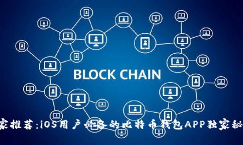 专家推荐：iOS用户必备的比特币钱包APP独家秘诀！