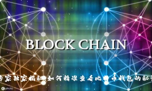 专家独家揭秘：如何精准查看比特币钱包的秘诀