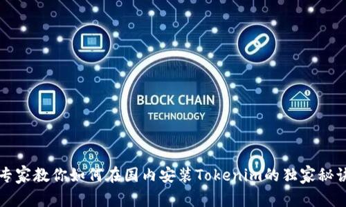 专家教你如何在国内安装Tokenim的独家秘诀