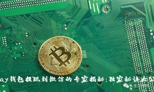 Topay钱包提现到微信的专家揭秘：独家秘诀大公开！