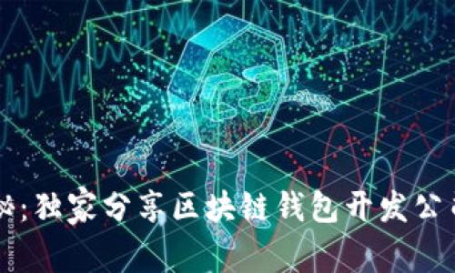 专家揭秘：独家分享区块链钱包开发公司的秘诀
