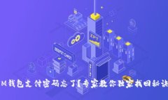 IM钱包支付密码忘了？专家