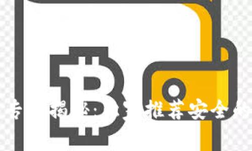 虚拟币钱包专家揭秘：独家推荐安全的选择与秘诀