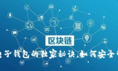 专家揭秘：数字币电子钱