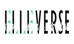 区块链钱包的文件结构揭