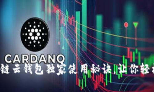 专家揭秘：区块链云钱包独家使用秘诀，让你轻松掌握数字资产