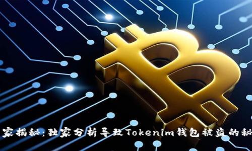 专家揭秘：独家分析导致Tokenim钱包被盗的秘诀