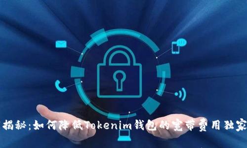 专家揭秘：如何降低Tokenim钱包的宽带费用独家秘诀
