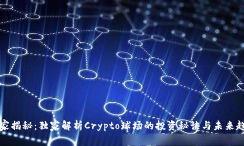 专家揭秘：独家解析Crypto球场的投资秘诀与未来趋势