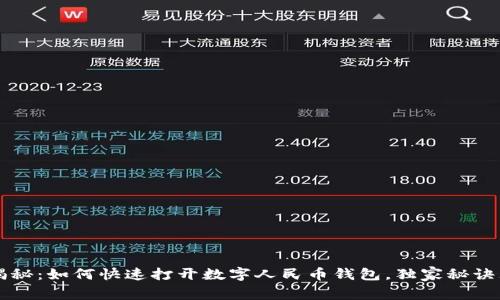 专家揭秘：如何快速打开数字人民币钱包，独家秘诀大公开