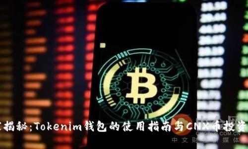专家揭秘：Tokenim钱包的使用指南与CNX币投资秘诀