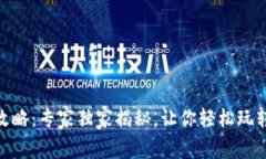 USDT充值攻略：专家独家揭