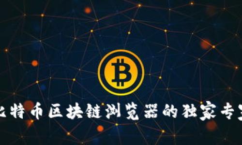 揭秘比特币区块链浏览器的独家专家秘诀