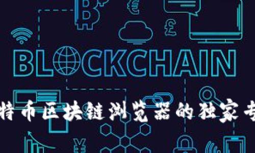 揭秘比特币区块链浏览器的独家专家秘诀