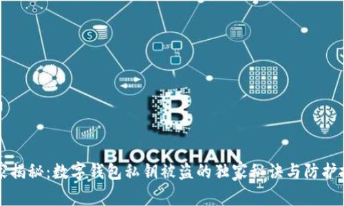 专家揭秘：数字钱包私钥被盗的独家秘诀与防护技巧