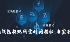 Tokenim钱包提现所需时间揭