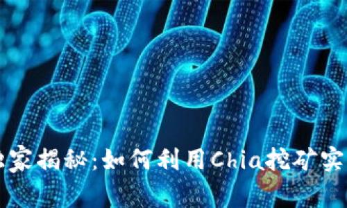 区块链Chia专家独家揭秘：如何利用Chia挖矿实现财富增值的秘诀