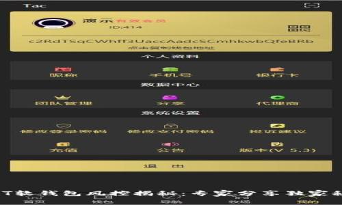 USDT软钱包风控揭秘：专家分享独家秘诀！