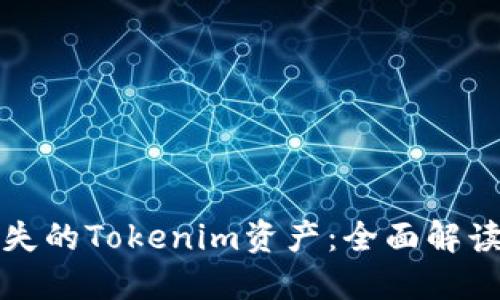如何找回消失的Tokenim资产：全面解读与解决方案
