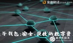 Tokenim电子钱包：安全、便