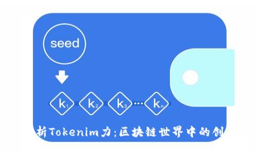 深入解析Tokenim力：区块链世界中的创新力量