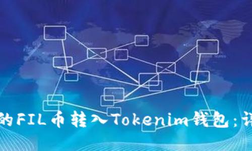 如何将交易所的FIL币转入Tokenim钱包：详细步骤与技巧