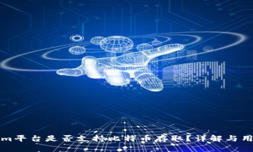 Tokenim平台是否支持比特币存取？详解与用户指南