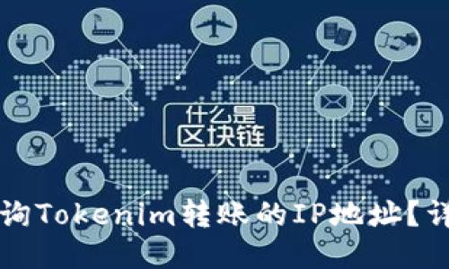 如何查询Tokenim转账的IP地址？详尽指南