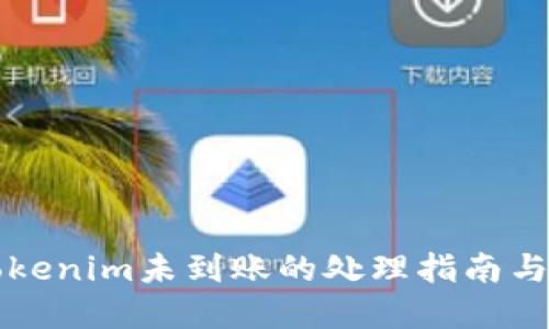 转币到Tokenim未到账的处理指南与解决方案