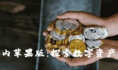 Tokenim国内苹果版：探索数