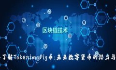 深入了解Tokenim Pig币：未来