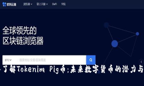 深入了解Tokenim Pig币：未来数字货币的潜力与应用