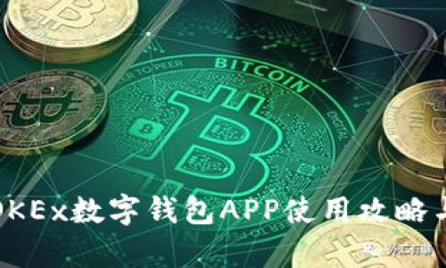 最全面的OKEx数字钱包APP使用攻略与功能解析
