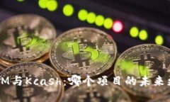 TokenIM与Kcash：哪个项目的