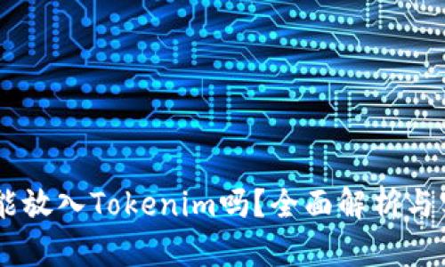 : USDT能放入Tokenim吗？全面解析与实用指南