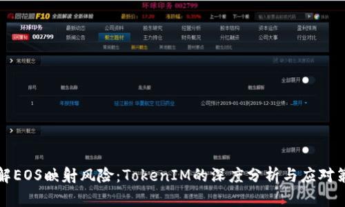 理解EOS映射风险：TokenIM的深度分析与应对策略