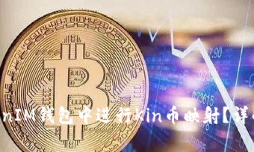 如何在TokenTokenIM钱包中进行Kin币映射？详解及常见问题解答
