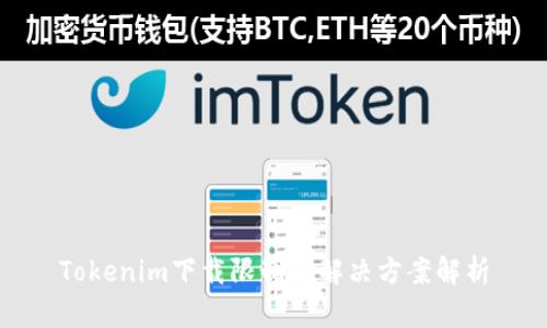 Tokenim下载限制及解决方案解析