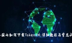2018年国内如何下载TokenI