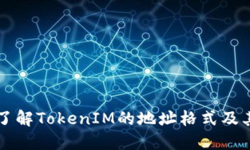 深入了解TokenIM的地址格式及其应用